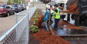 fence-landscaping-03