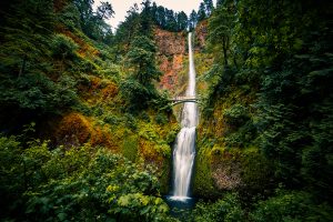 Multnomah Falls, Columbia River Gorge, Oregon