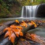 Oregon Autumn