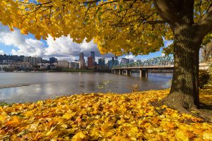 Oregon Autumn