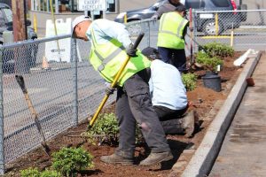 fence landscaping 02