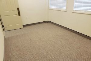 demolay office new carpet